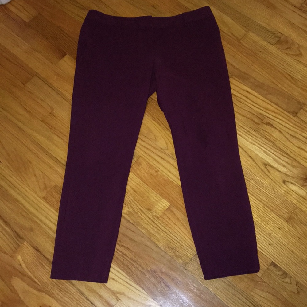 Express Dress Pants